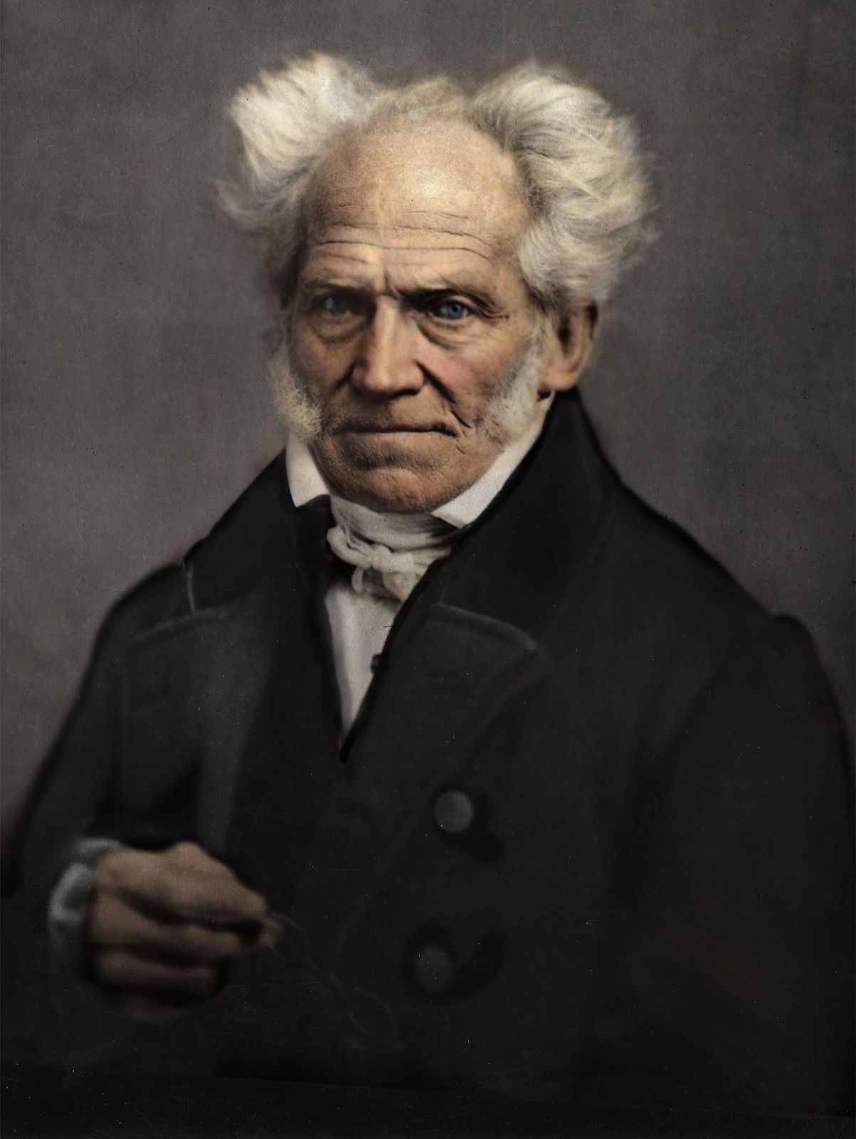 arthur schopenauer
